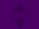 foto9.gif
