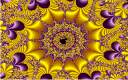 image5.gif