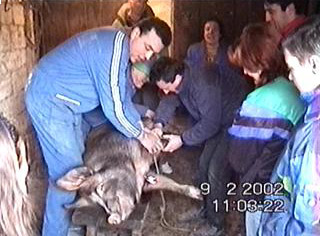 Matanza en la casa de los P�rez