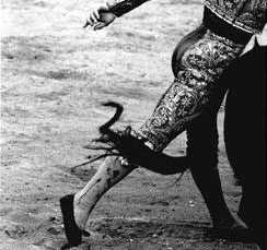 '...nadie mencion� siquiera 
que aquel torero y t� 
vivieron un tiempo juntos'