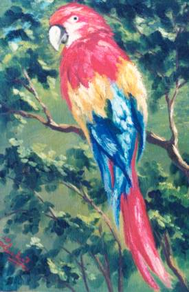 Guacamaya I