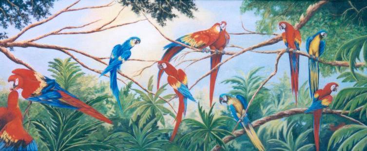 Guacamayas II