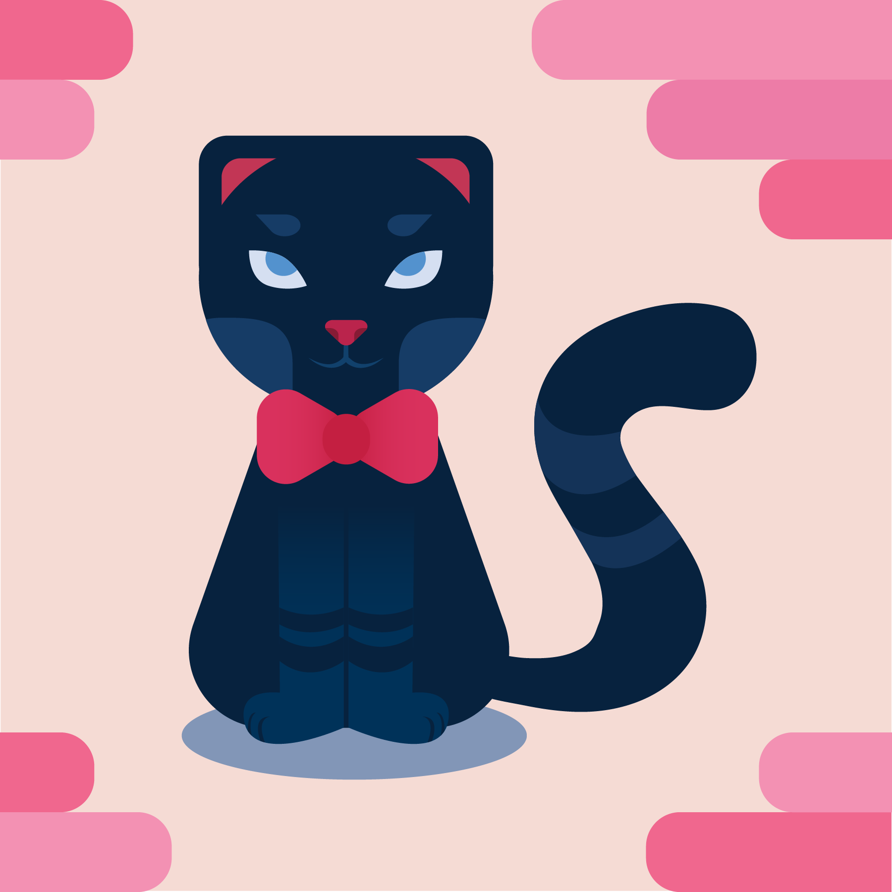 black cat