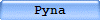 Pyna
