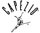 This is the "old" Capezio logo