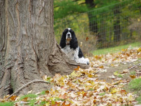 This is Spencer!