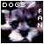 I'm a dogs fan