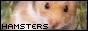 I'm a hamsters fan