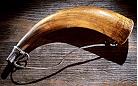 horn