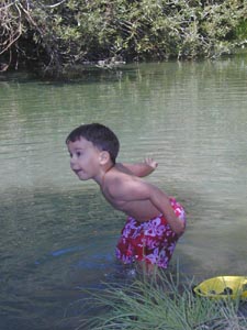 Throwing rocks in the creek.