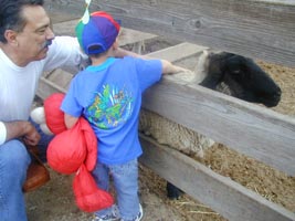 Visiting a farm.