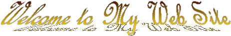 Welcome to My Web Site