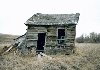 beaver dam