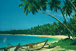 A sunny beach