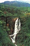 Devon falls