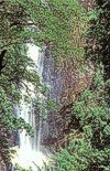 Diyaluma falls