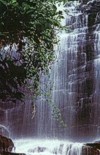 Ella falls