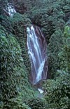 Mohini falls