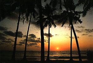 Sun set is always a beautiful site to look