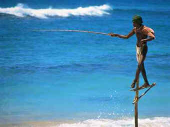 A scene from Weligama beach