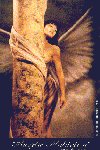 Angels