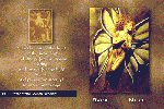 Prayer of the Golden Butterfly