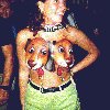 A Cute Set of Pups