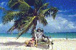 The Caribbean