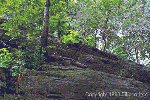 Mother Earth