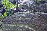 Mother Earth