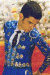 The Matador