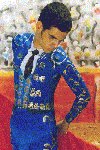 The Matador