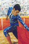 The Matador