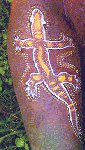 Vineyard Nymph