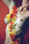 Autumn Leaves