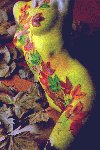 Autumn Leaves