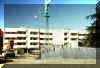 settecamini1.jpg (65029 byte)