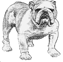 Rossville High School Alumni online