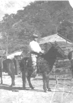 Ross W. Brooks, Sr.
