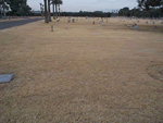 Unmarked Gravesite 2001