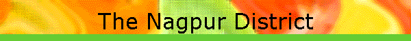 The Nagpur District