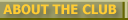 RCTalipapa