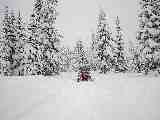 Photo Number 11
