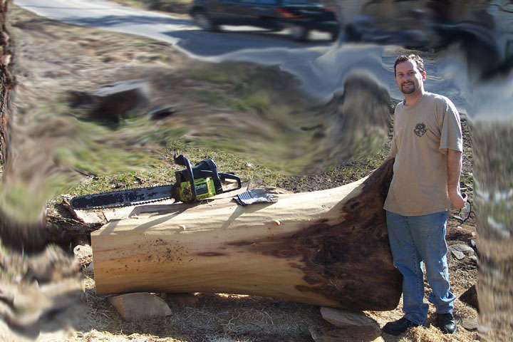 We had to do some cutting to move the log, but that badboy is almost 4 feet across