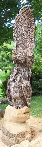 Das'a one big owl!!