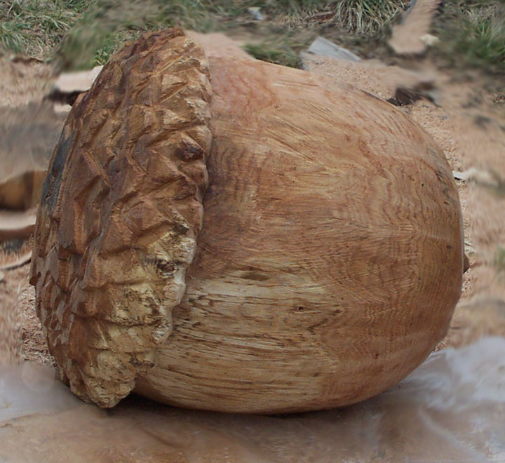 Some times you feel like a nut...