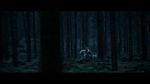 Click to see big picture (650x366 pixels; 18 KB))