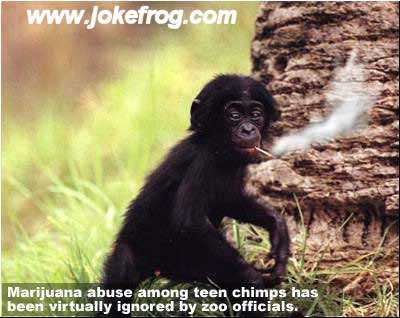 Click on picture for funny pictures