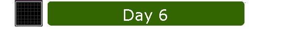 Day 6