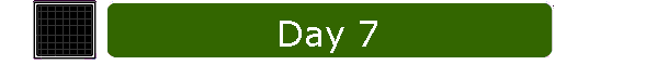 Day 7
